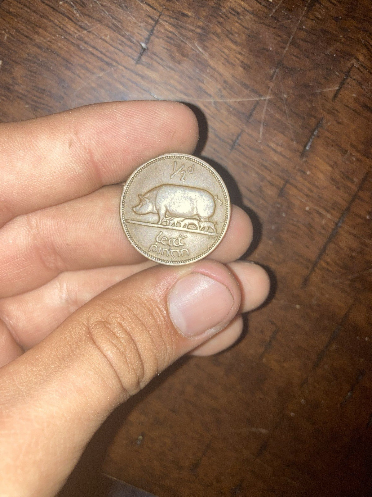 Ireland, Eire 1/2 Penny 1935 Half Cent coin. Sow & Piglets. Animals